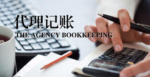 天津天天财务代理记账公司 为企业保驾护航，代理代办无忧